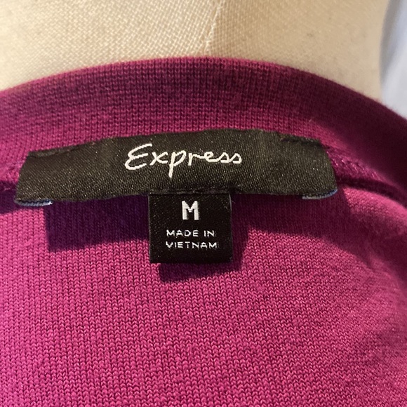 Vintage 1990s Fuscia Velvet Top from Express - Picture 7 of 7